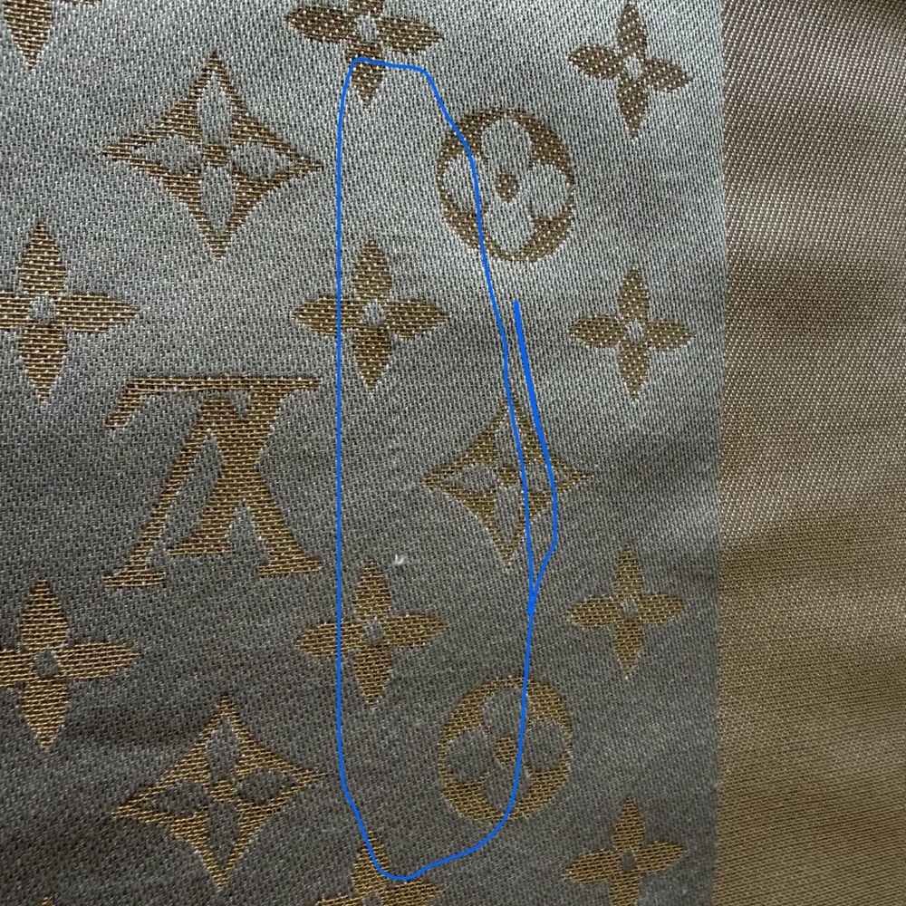 Louis Vuitton Champagne and subtle silver Monogram Shawl - Picture 8 of 9